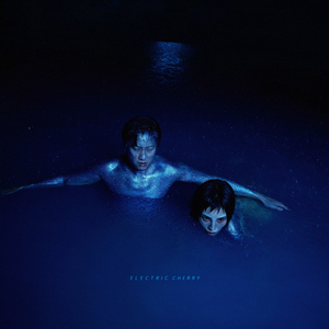 亚洲熟女的熟妇毛🍌视频
