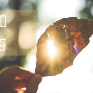 亚洲熟女的熟妇毛🍌视频
