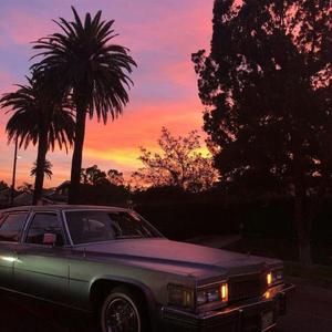 亚洲熟女的熟妇毛🍌视频
